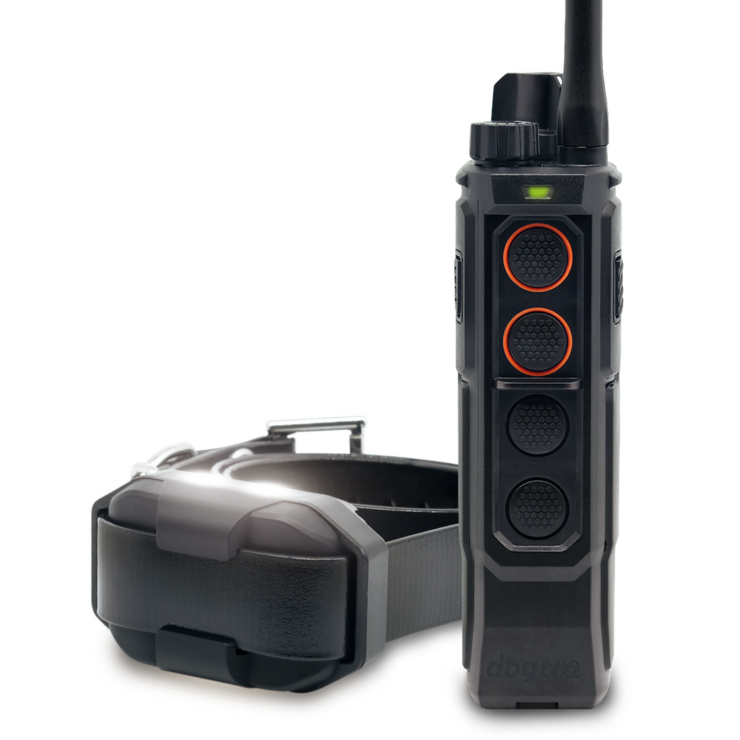 EDGE RT2-Unidad para 1 perro