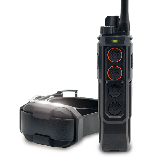 EDGE RT2-Unidad para 1 perro