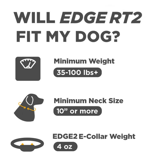 EDGE RT2-Unidad para 1 perro