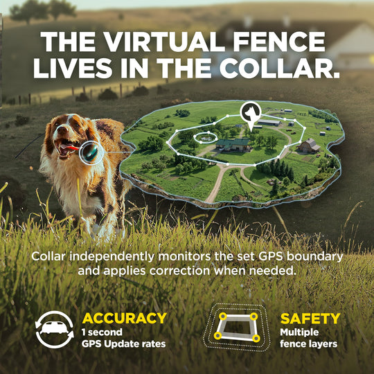 DOGTRA GPS FENCE FIELDGUARD