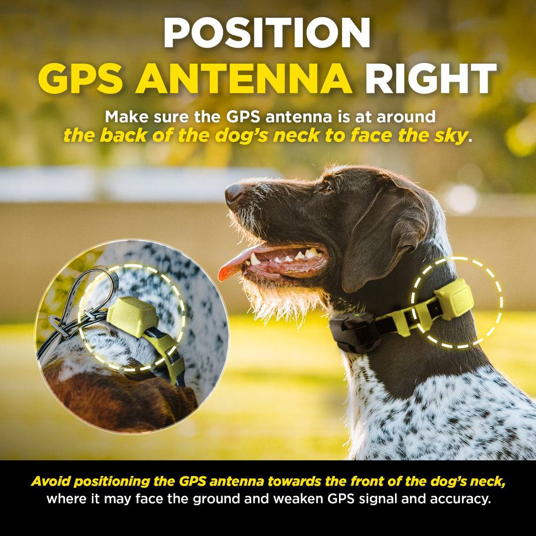 DOGTRA GPS FENCE