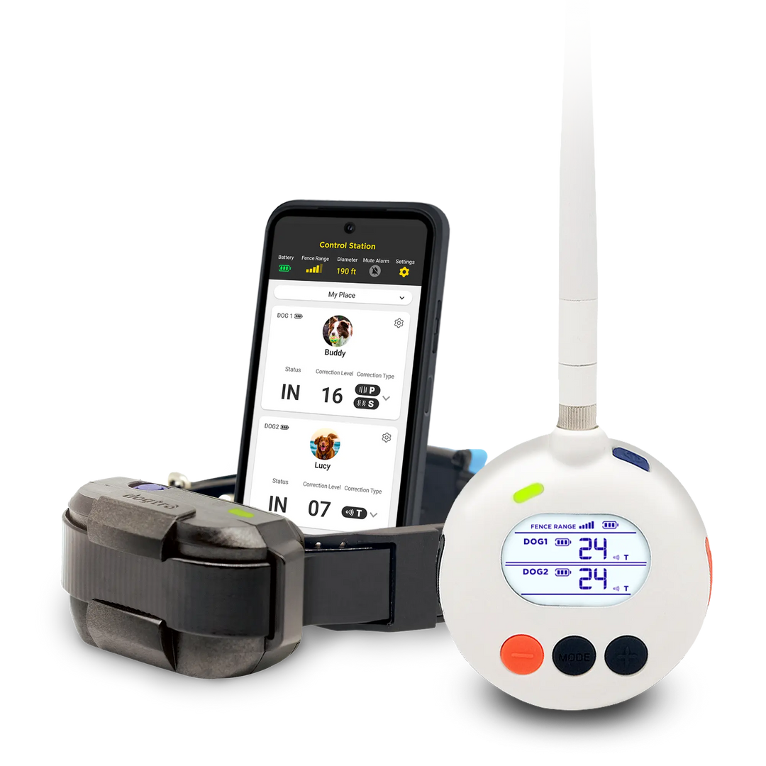DOGTRA SMART FENCE-Cerca portátil para perros