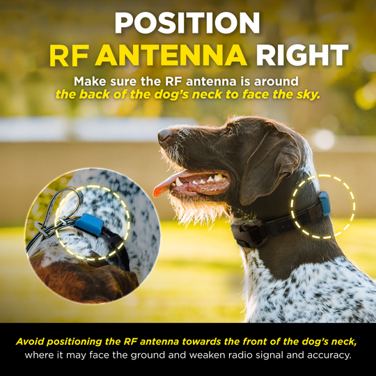Receptor adicional Dogtra Smart Fence