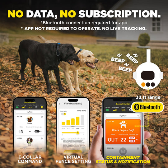 DOGTRA SMART FENCE