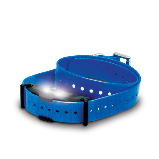 Receptor adicional ARC-X