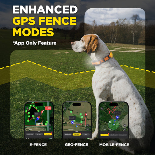 DOGTRA PATHFINDER2 MINI COMPASS