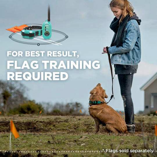 DOGTRA GPS FENCE FIELDGUARD