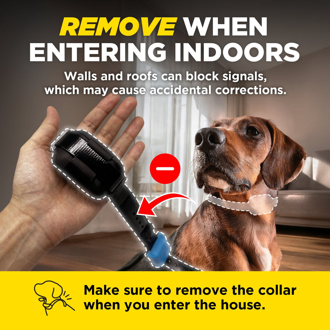 Receptor adicional Dogtra Smart Fence