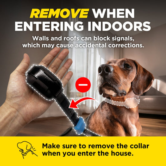 Receptor adicional Dogtra Smart Fence